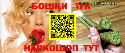 тгк Новозыбков