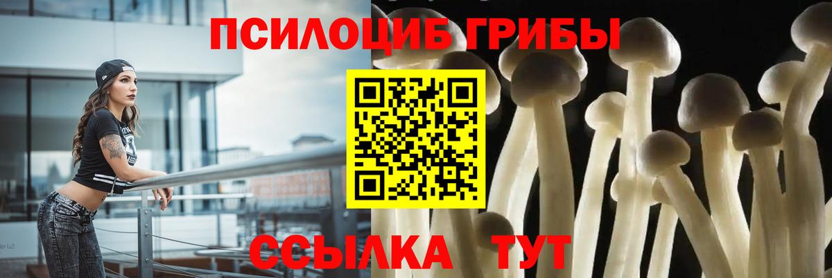 Галлюциногенные грибы Psilocybe Солнечногорск